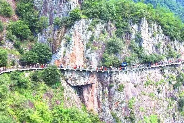 青蛙跳一跳